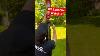 Ham Radio DX Launcher Wire Antennas Exclusively Hamradio247 Hamradio Dipole Treework