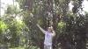 Ham Radio Deploying Antenna To A Tree