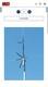 MFJ 8 Band Compact Vertical Antenna HF/VHF/UHF 2M thru 80m Black READ